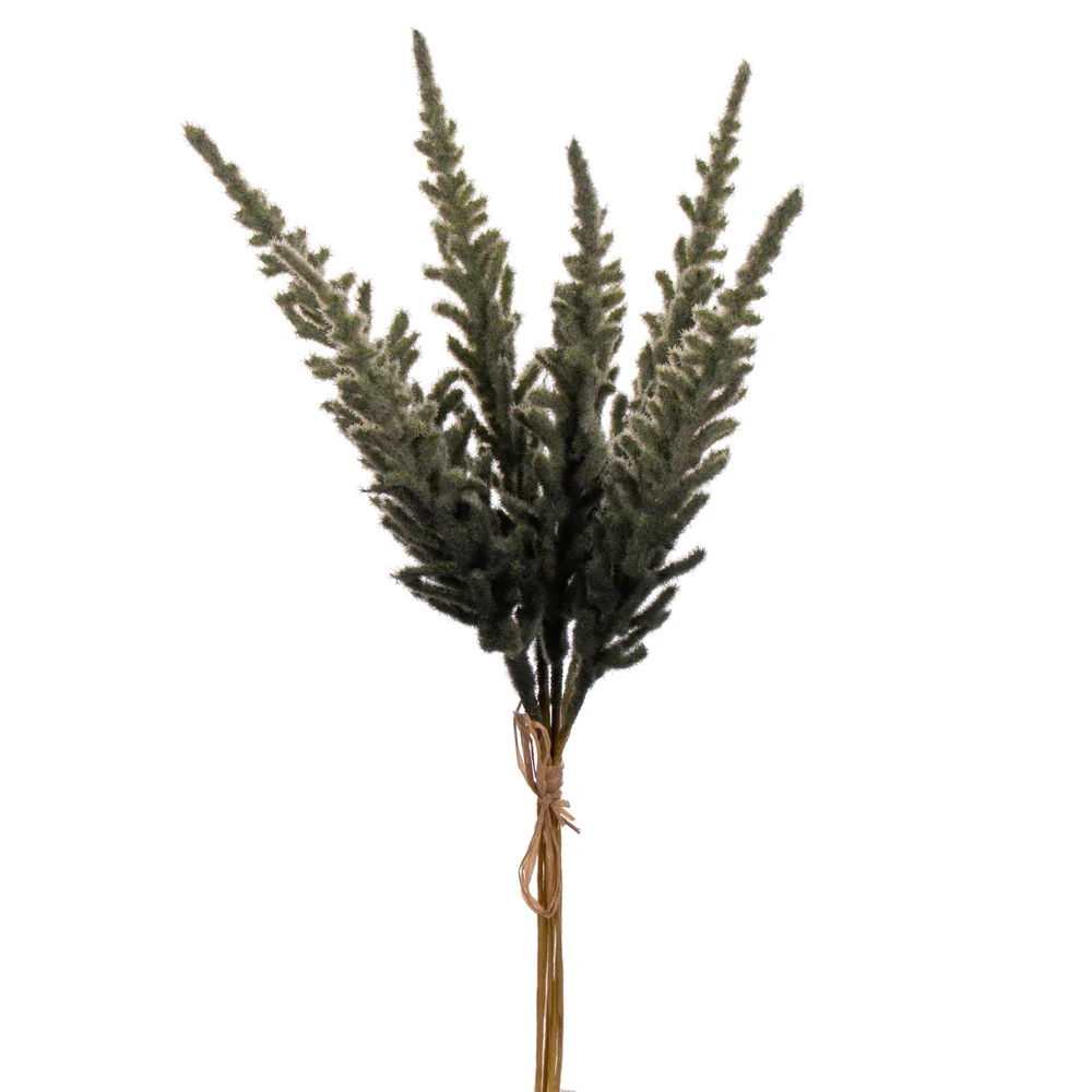 Vickerman 19.5