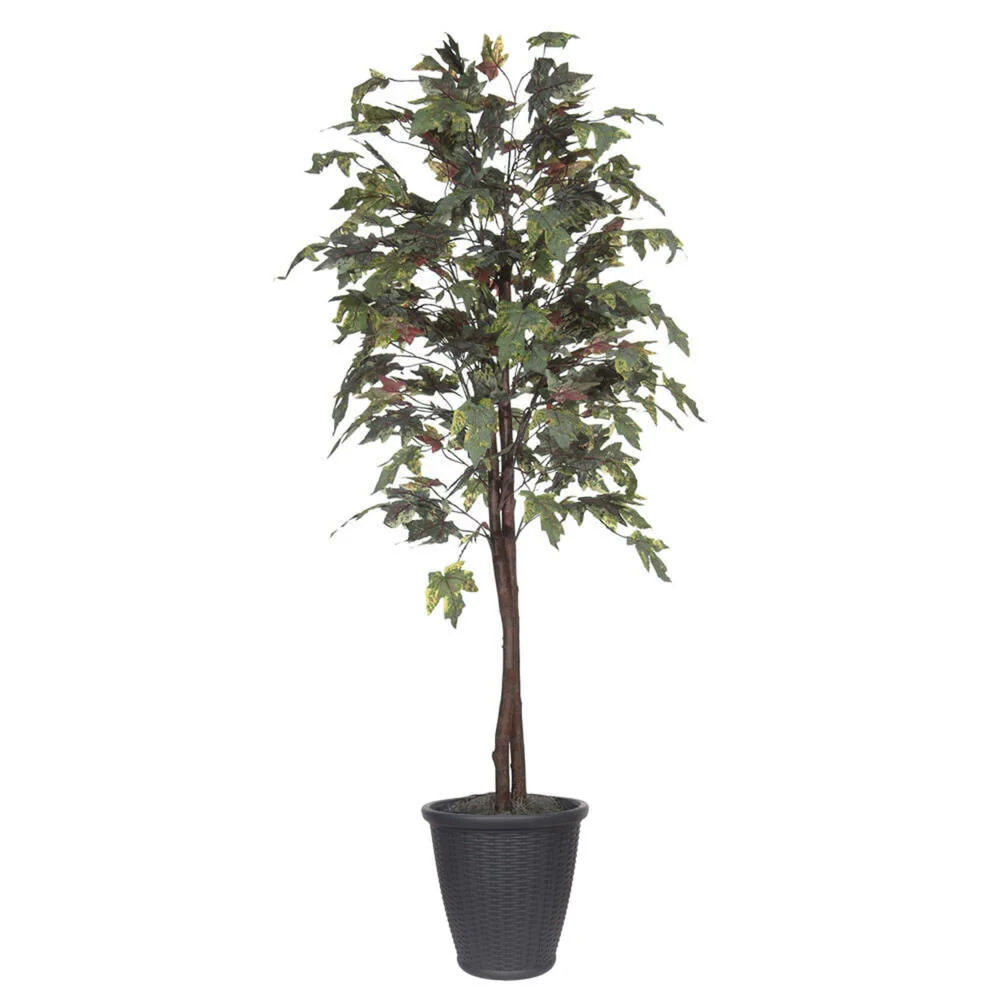 Vickerman 6' Artificial Frosted Maple Tree Gray Round Plastic Container. - Cheap-Us