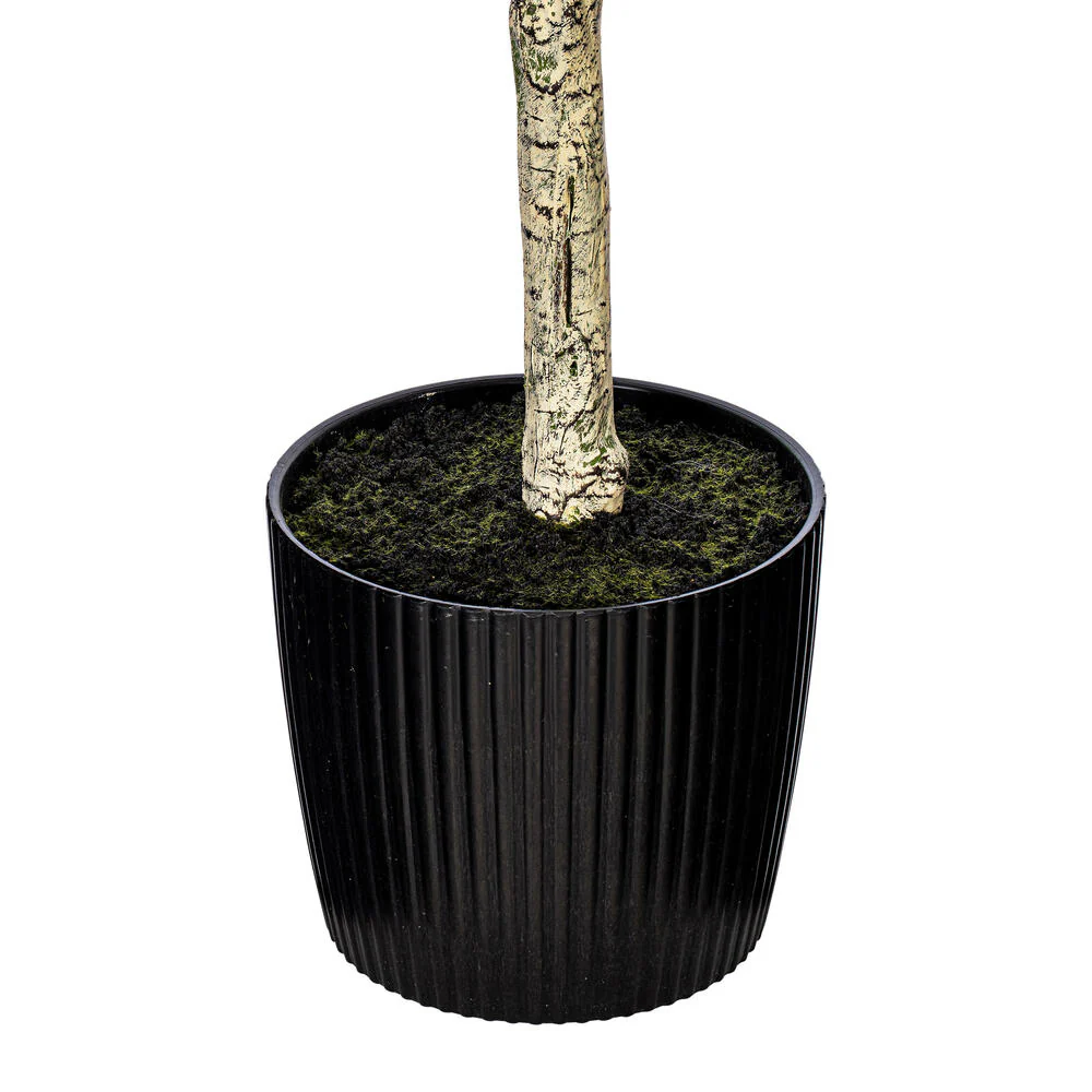 Vickerman 60