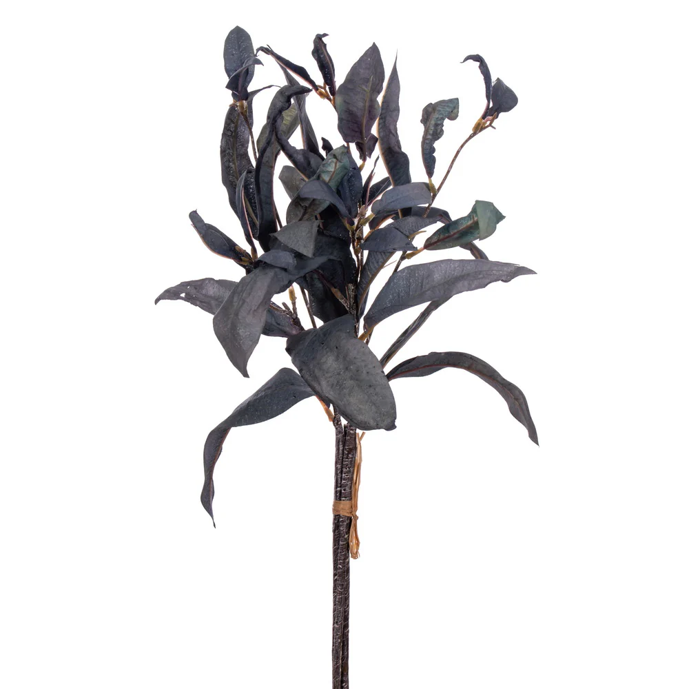 Vickerman 20