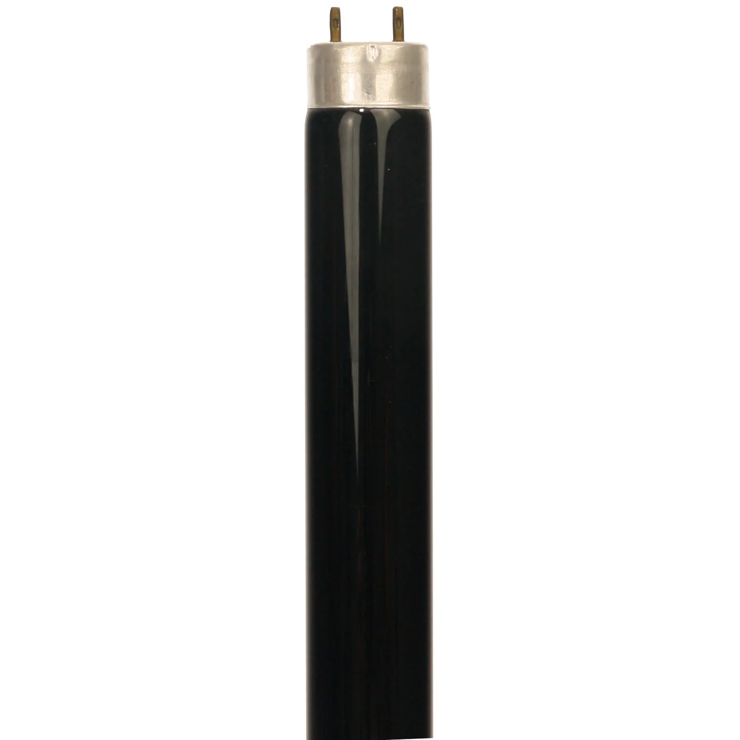 Sunlite 10 Watt T8 Black Light Straight Tube, Medium Bi-Pin Base, Black Light Blue - Cheap-Us