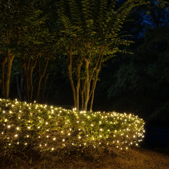 50-LITE RECTIFIED M5 LED LIGHT SET; WARM WHITE BULBS; GREEN WIRE, Approx. 25' 8