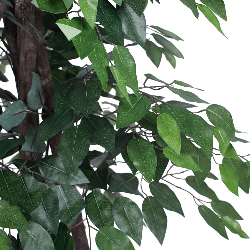 Vickerman 6' Artificial Ficus Deluxe Black Plastic Pot - Cheap-Us