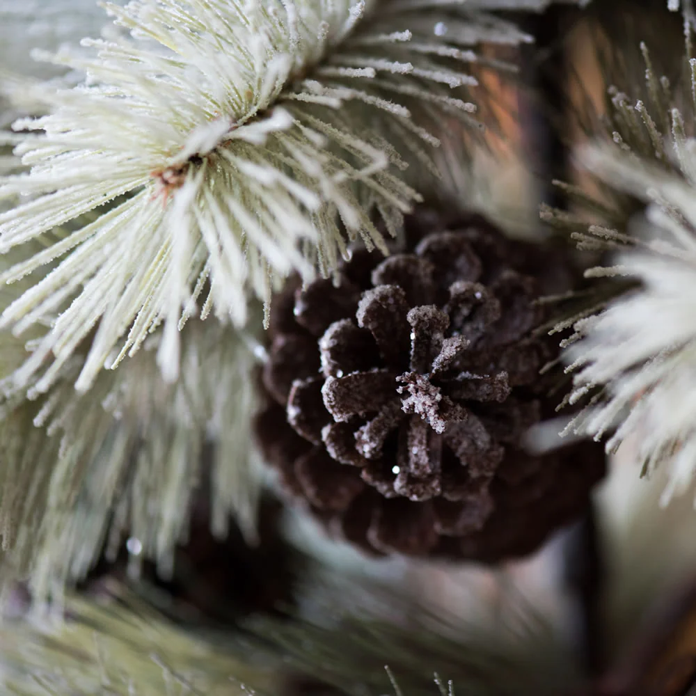 Vickerman 3' Frosted Bellevue Pine Artificial Christmas Tree Unlit - Cheap-Us