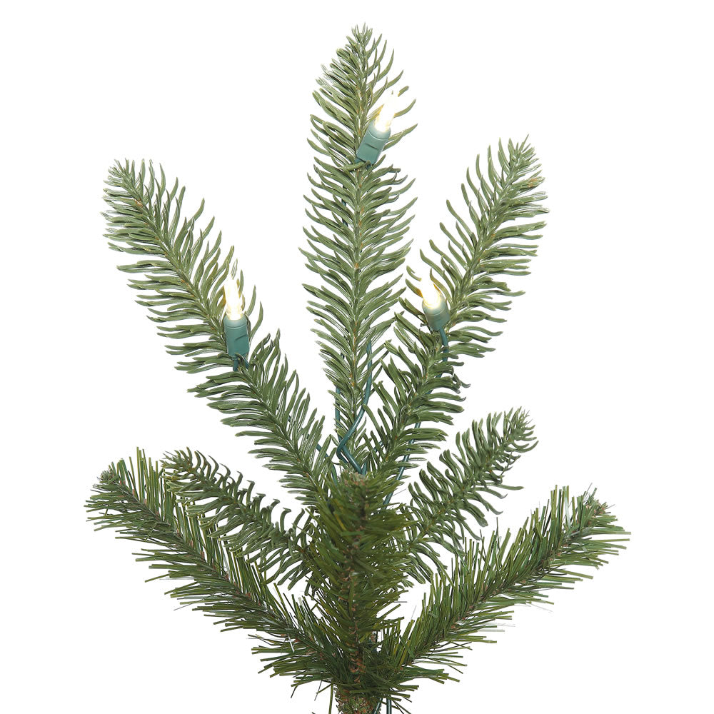 Vickerman 4' Alberta Spruce Artificial Christmas Tree Warm White Dura-lit LED Lights - Cheap-Us