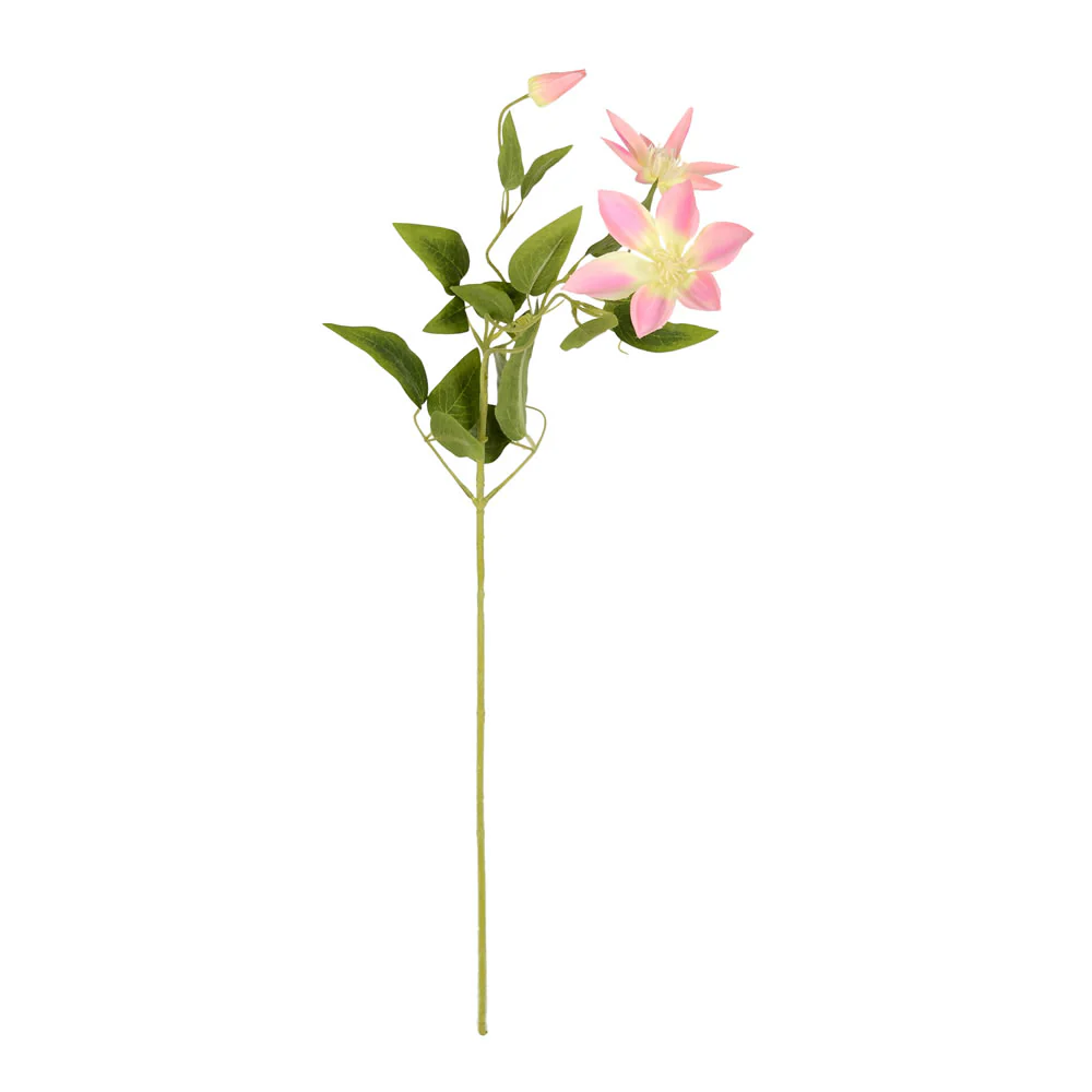 Vickerman 28