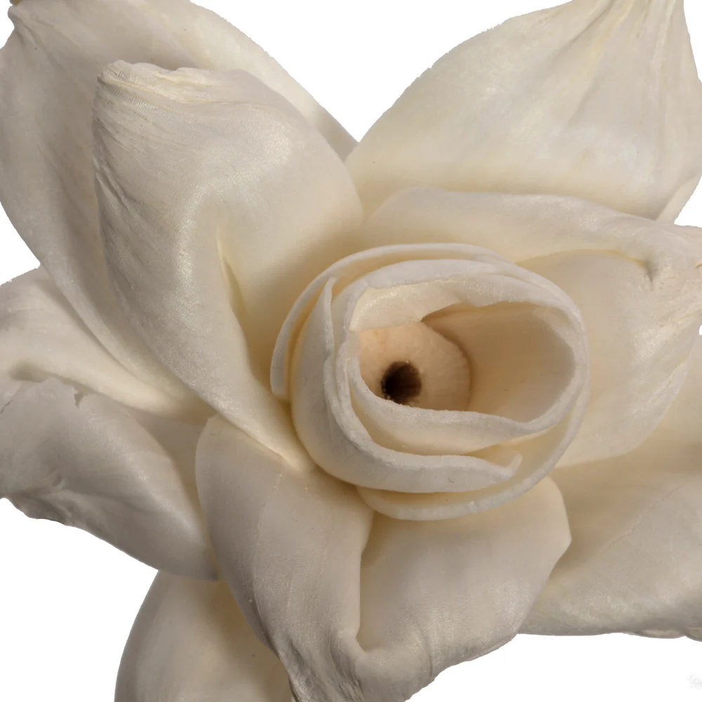 Vickerman Natural Botanicals 1.6