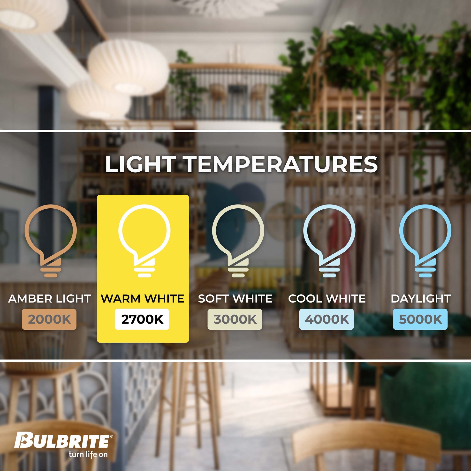 Bulbrite Pack of (6) 60 Watt Dimmable Half Gold A19 Medium (E26) Incandescent Bulb - Cheap-Us