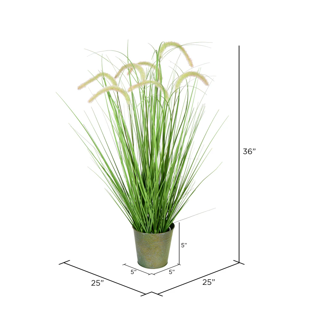 Vickerman 36