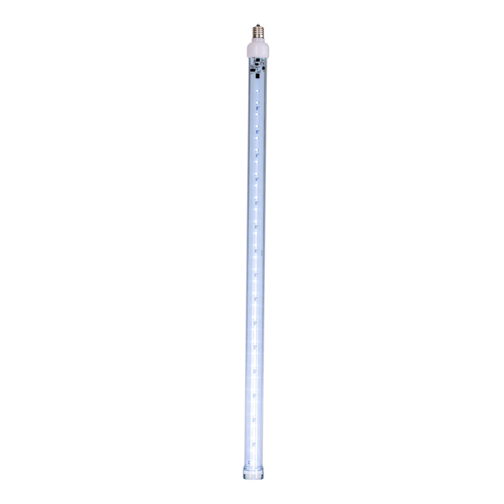 Vickerman 5 Pack of 24