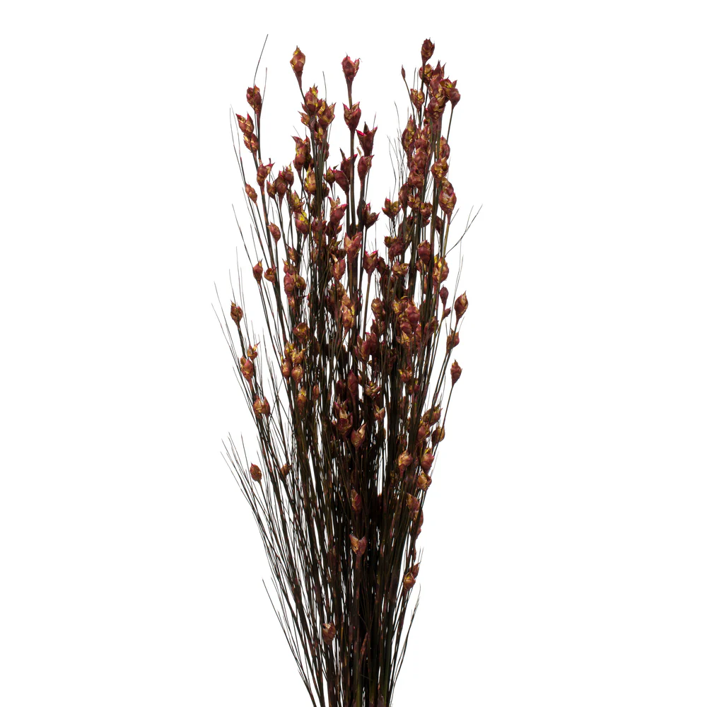 Vickerman 36-40