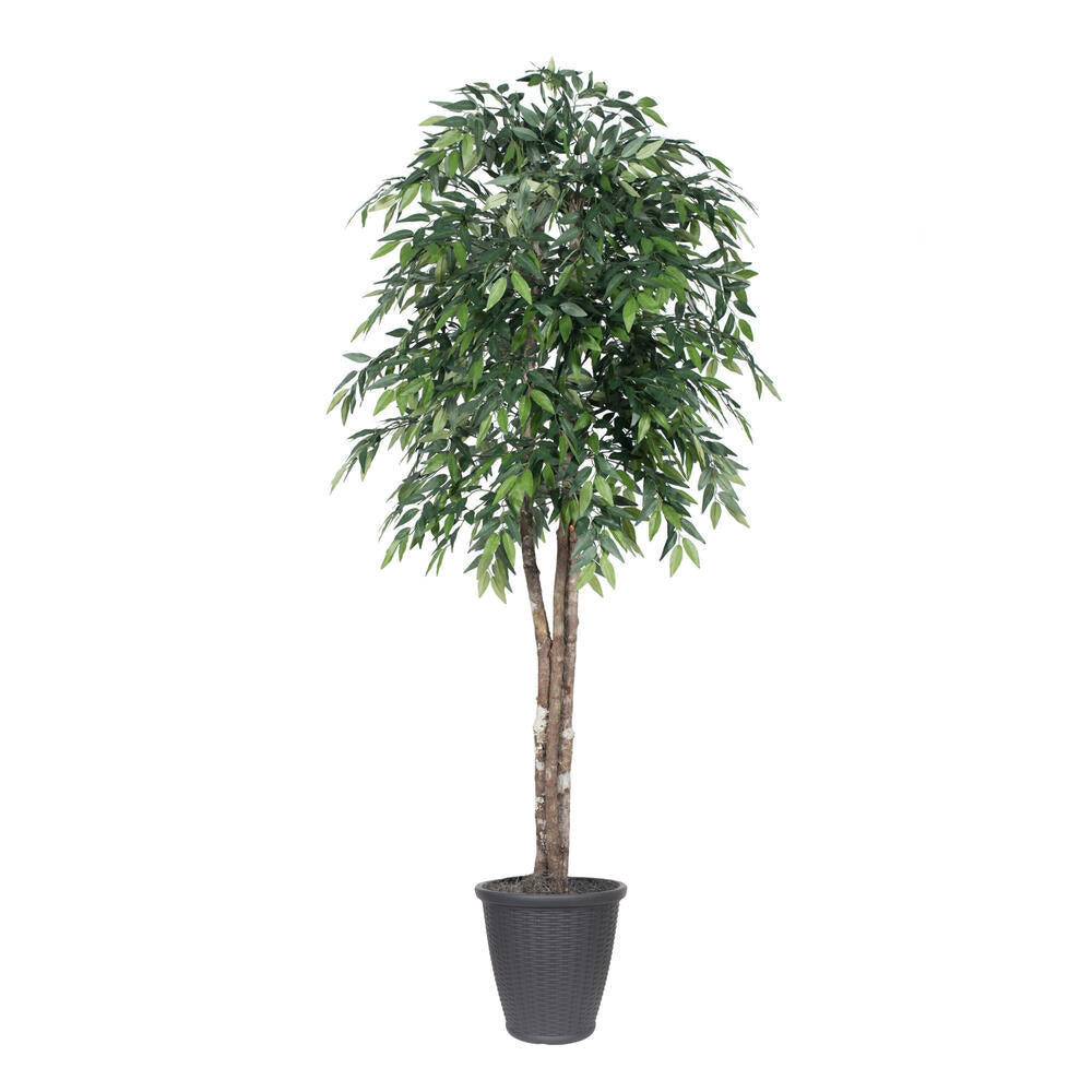 Vickerman 6' Artificial Green Smilax Deluxe Tree Gray Round Plastic Container. - Cheap-Us