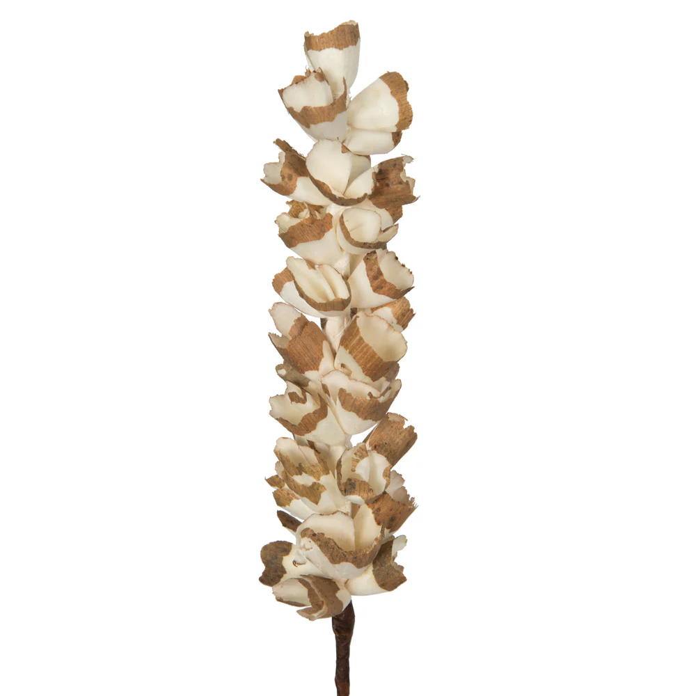 Vickerman Natural Botanicals 24