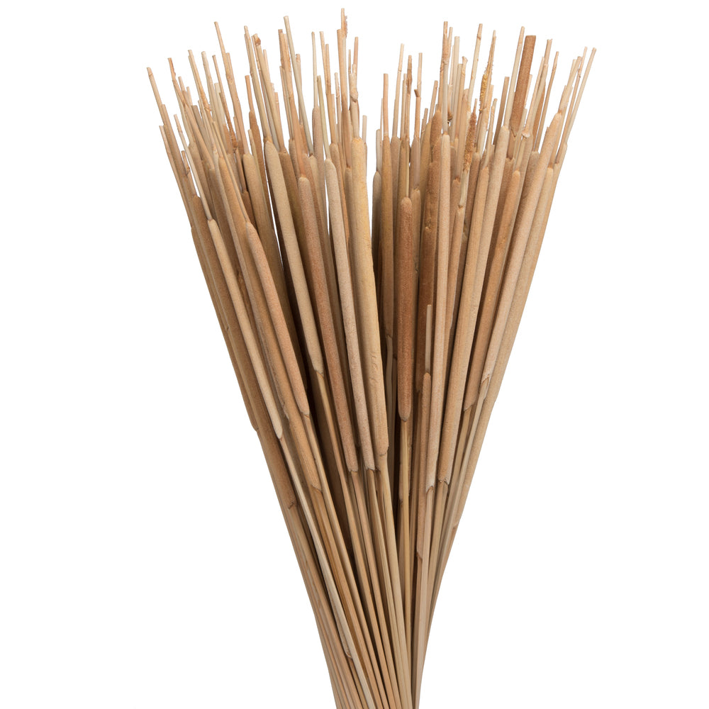 Vickerman Natural Botanicals 24