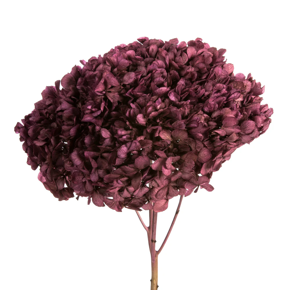 Vickerman 15
