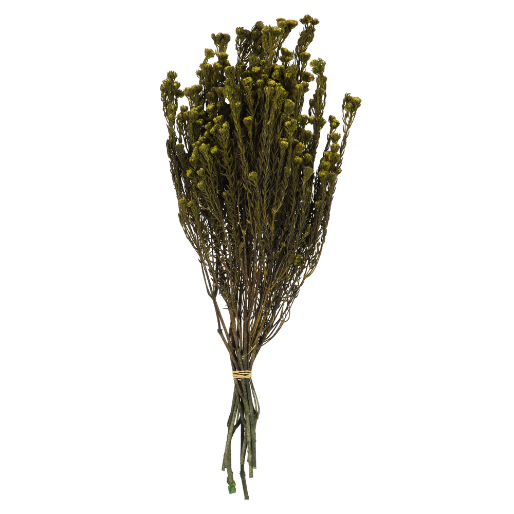 Vickerman 16-22