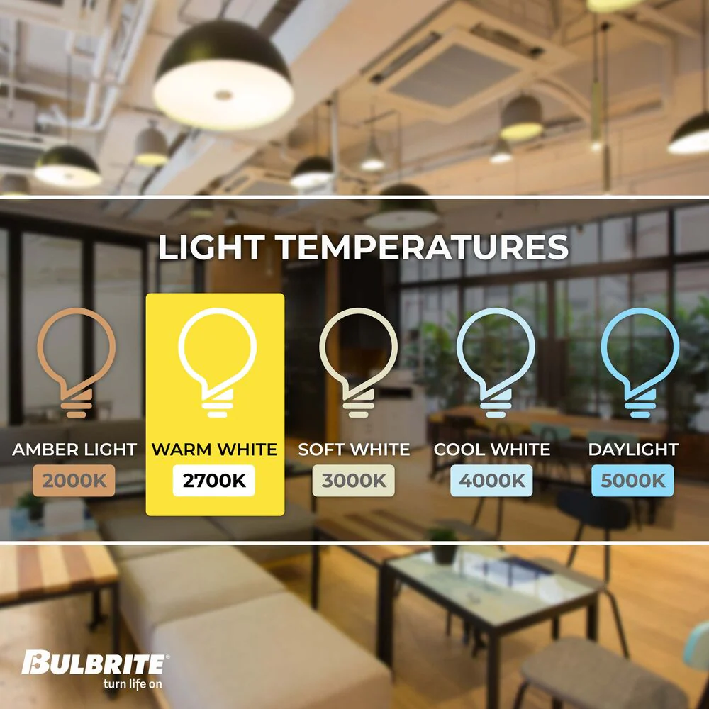 Bulbrite Pack of (6) 60 Watt Dimmable Half Chrome G40 Incandescent Light Bulbs with Medium (E26) Base, 2700K Warm White Light - Cheap-Us