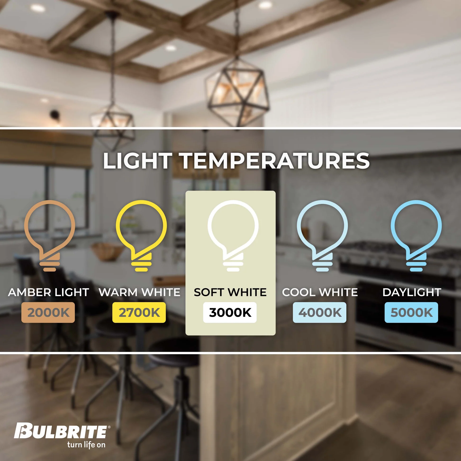 Bulbrite Pack of (5) 100 Watt 120V Dimmable Clear T8 Double Envelope Halogen Mini Light Bulbs with Medium (E26) Base, 2900K Soft White Light - Cheap-Us