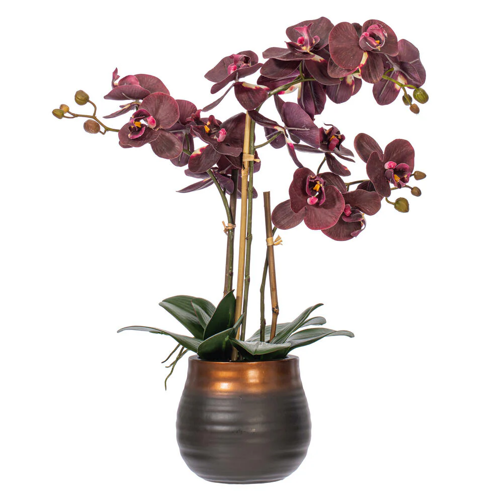 Vickerman 22