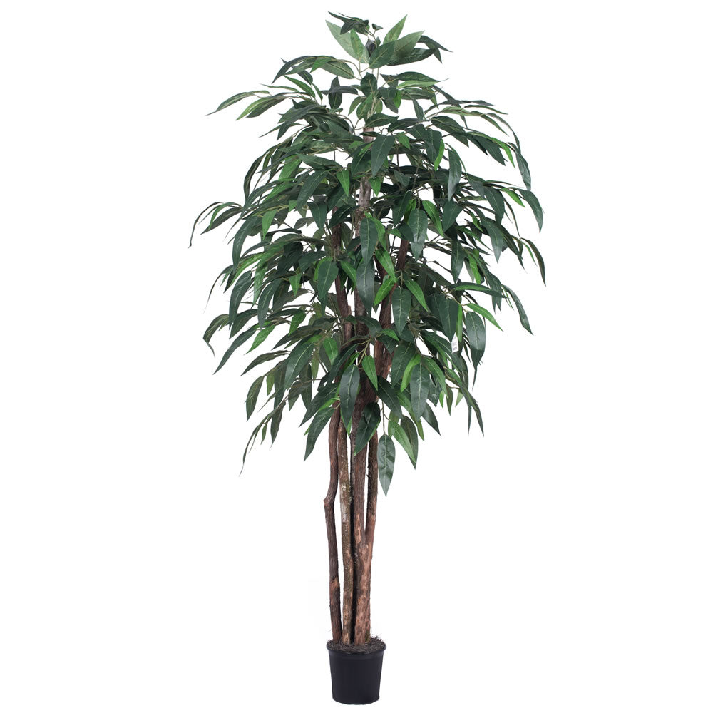 Vickerman 6' Artificial Mango Executive Black Plastic Pot - Cheap-Us