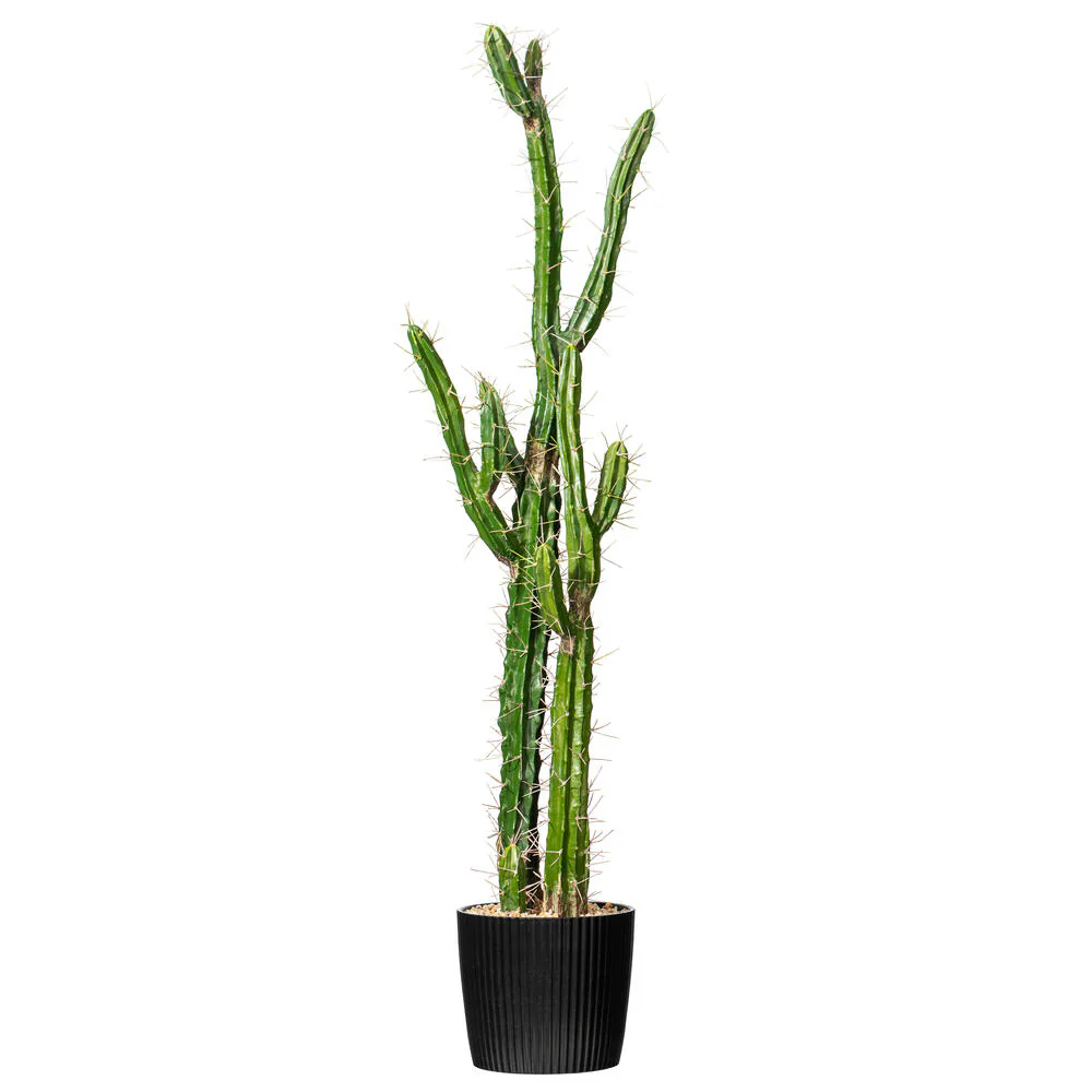 Vickerman 46