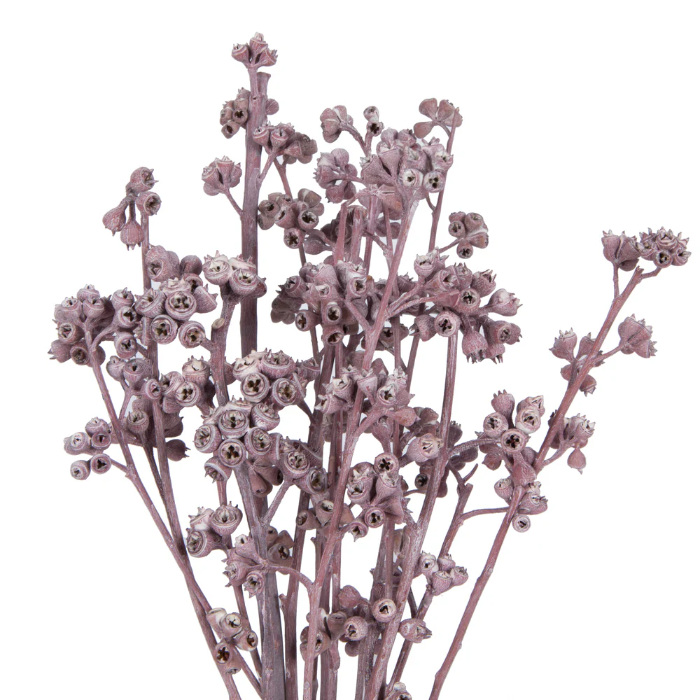 Vickerman Natural Botanicals 13