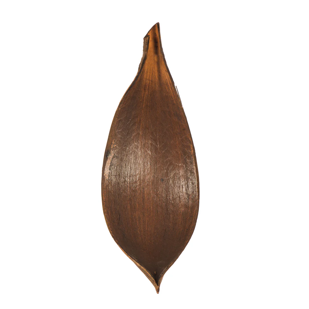 Vickerman PALM PADDLES MINI DK BROWN 15 PIECE BAG (CPD-25) Dried - Cheap-Us