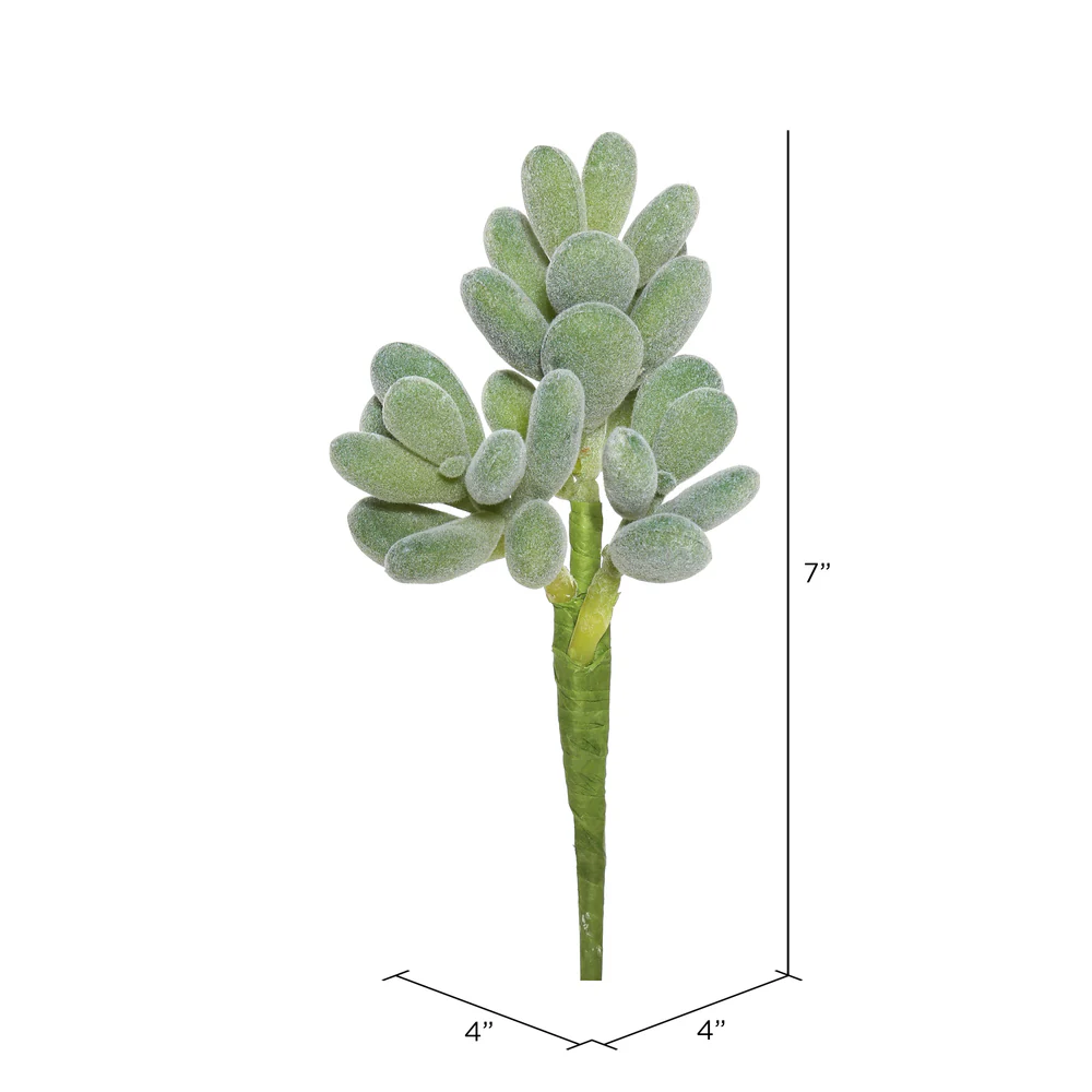 Vickerman 7