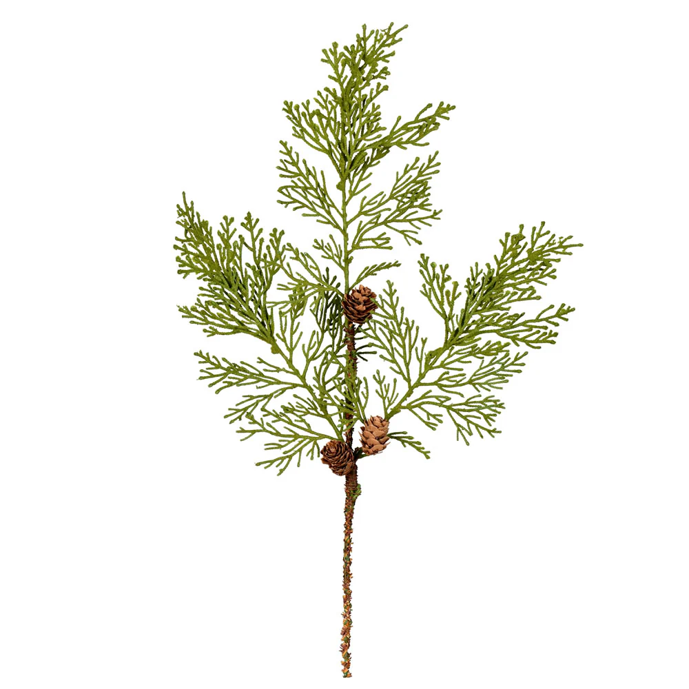 Vickerman 20