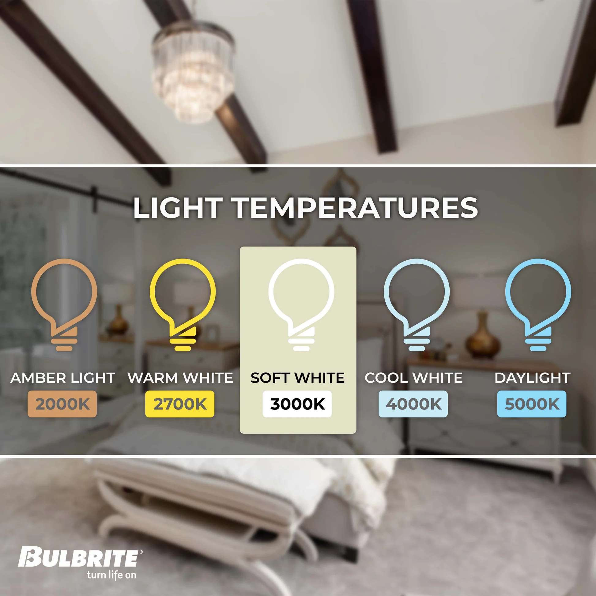 Bulbrite LED Filament Pack of (4) 5 Watt Dimmable 7.5 Inch T9 Light Bulb with Clear Glass Finish and Medium (E26) Base - 3000K (Soft White Light), 300 Lumens - Cheap-Us