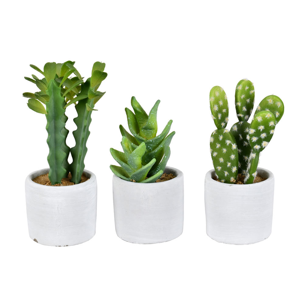 Vickerman Set of 3 Assorted 7