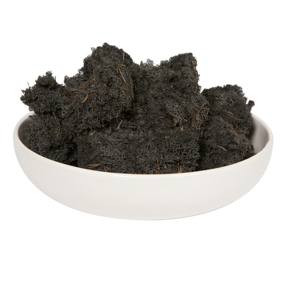 Vickerman Black Preserved Reindeer Moss 2 Lbs per Box - Cheap-Us