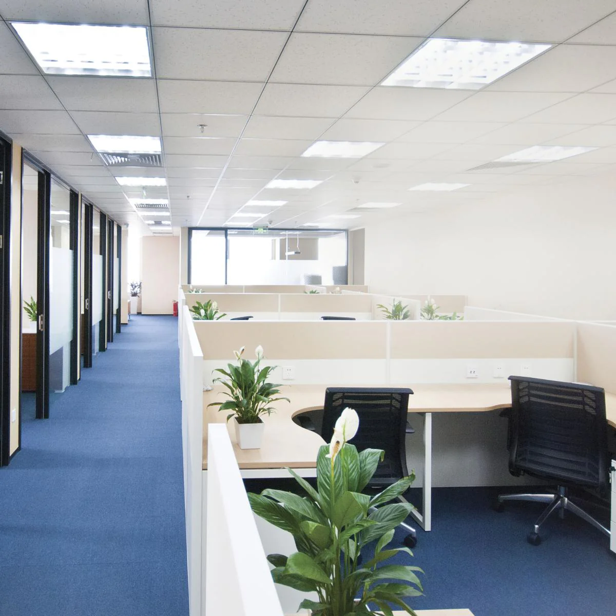 S49948 8T8/LED/24-840/DR 8 Watt; 2 Foot LED T8; Medium Bi Pin base; 4000K; 50000 Average rated hours; 1250 Lumens; Type A; Ballast dependent - Cheap-Us