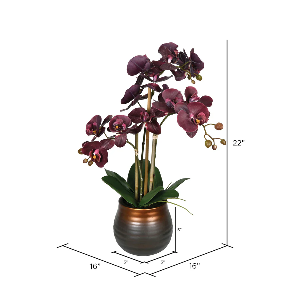 Vickerman 22