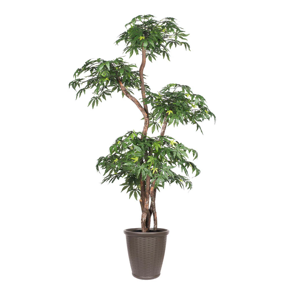 Vickerman 6' Artificial Multi Level Japanese Maple Tree Brown Round Plastic Container. - Cheap-Us