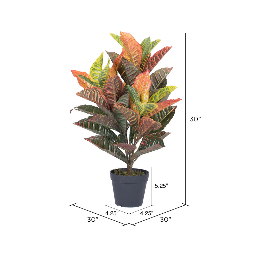 Vickerman 30
