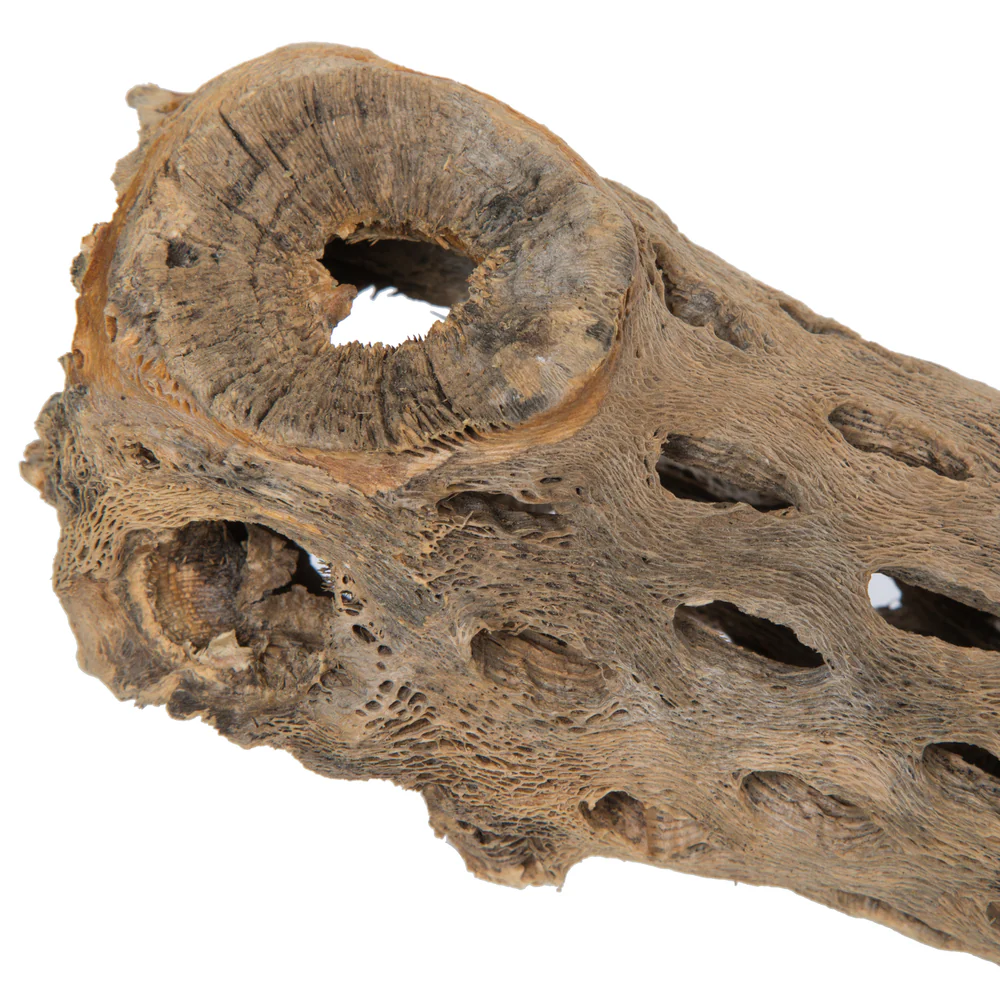 Vickerman CHOLLA NATURAL 36-41