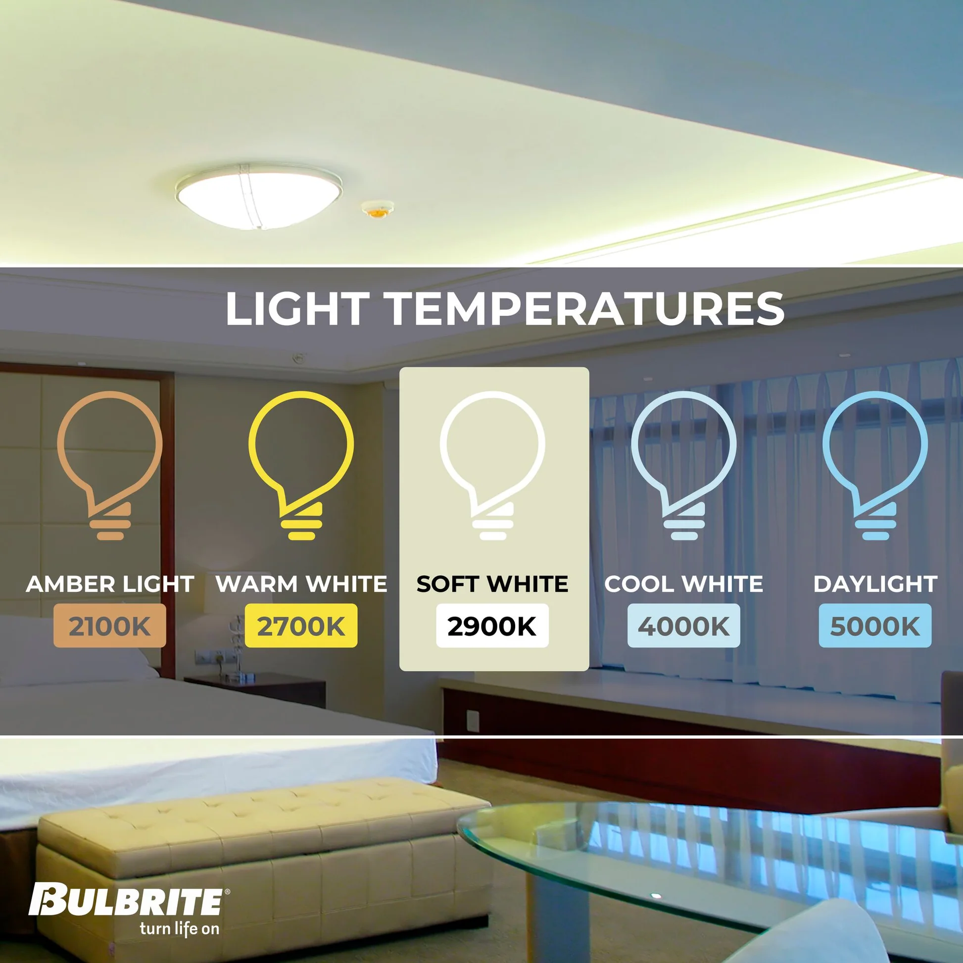 BULBRITE HALOGEN T4 BI-PIN (G9) 75W DIMMABLE LIGHT BULB 2900K/SOFT WHITE 5PK (654076) - Cheap-Us