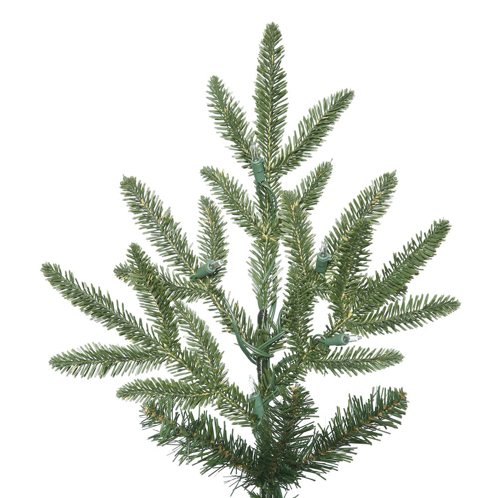 Vickerman 14' Medium Deluxe Fraser Fir Artificial Christmas Tree Unlit - Cheap-Us