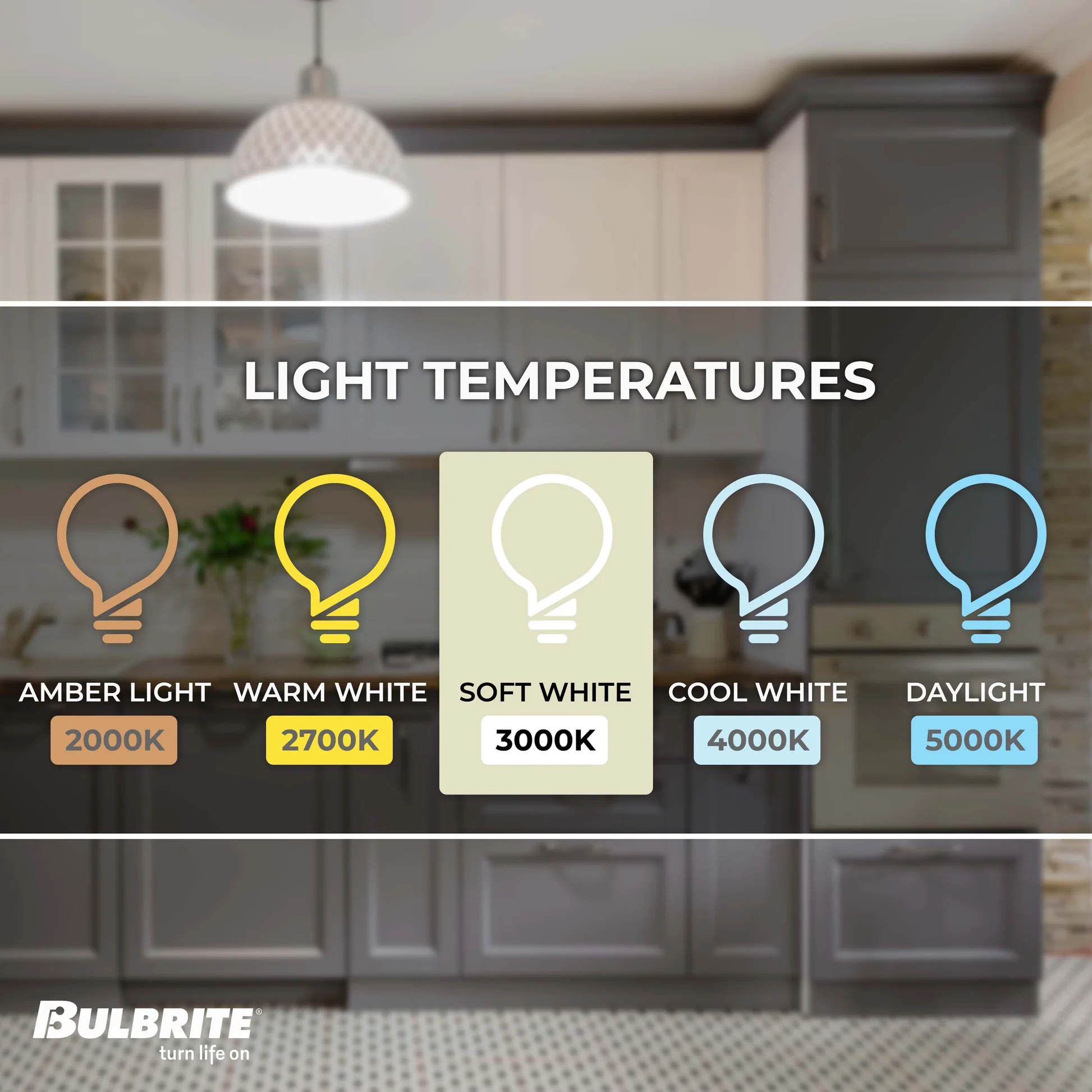 Bulbrite Pack of (2) 8.5 Watt Dimmable Milky Filament G40 Medium (E26) LED Bulb - 800 Lumens, 3000K, and 90 CRI - Cheap-Us
