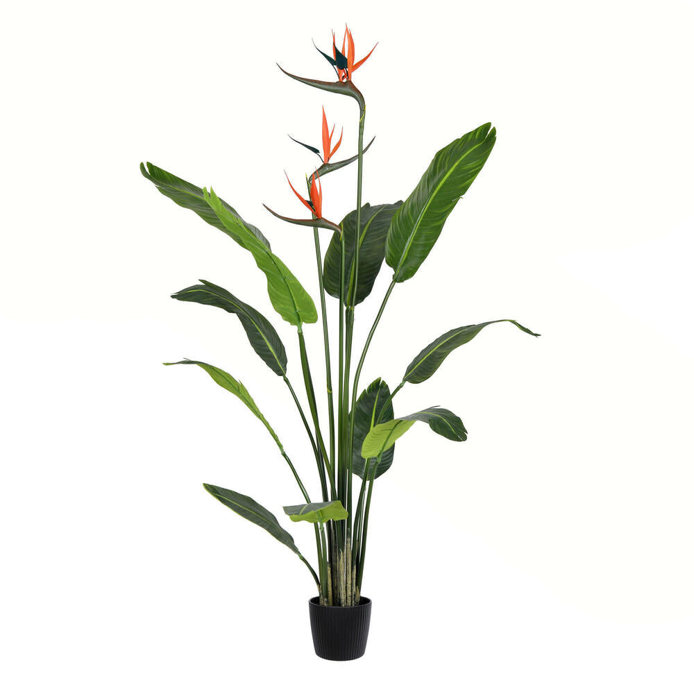 Vickerman 4' Artificial Potted Bird of Paradise Palm Tree. - Cheap-Us