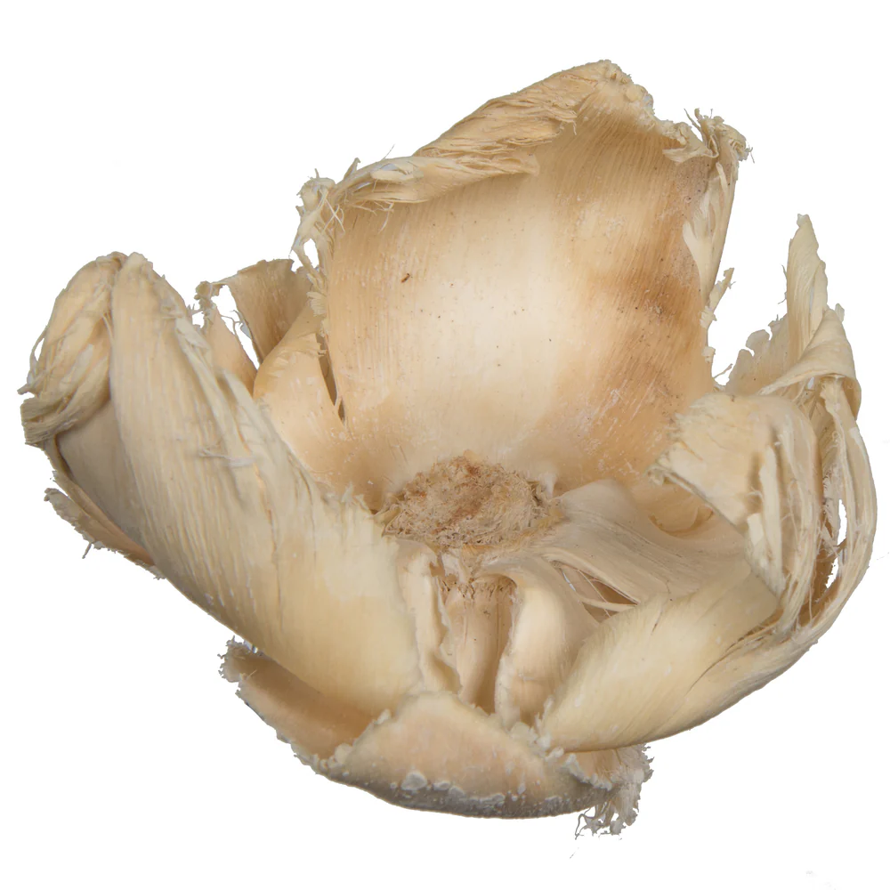 Vickerman Natural Botanicals 2.75