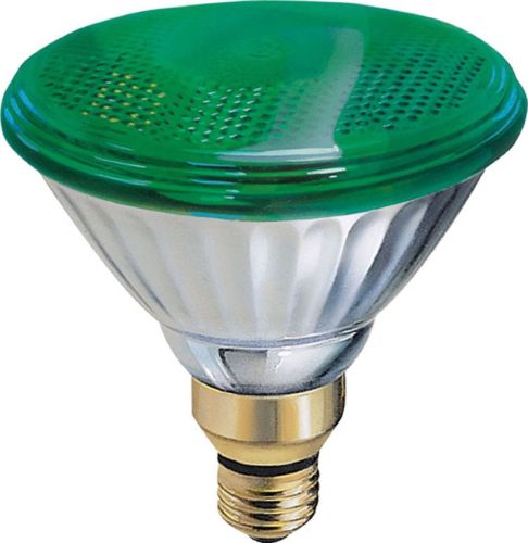 GE Lighting 13474 85-Watt Outdoor PAR38 Incandescent Light Bulb, Green - Cheap-Us