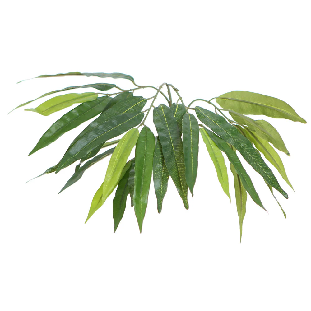 Vickerman 6' Artificial Mango Executive Tree Brown Round Plastic Container. - Cheap-Us