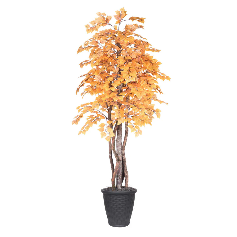 Vickerman 6' Artificial Golden Aspen Executive Tree Gray Round Plastic Container. - Cheap-Us