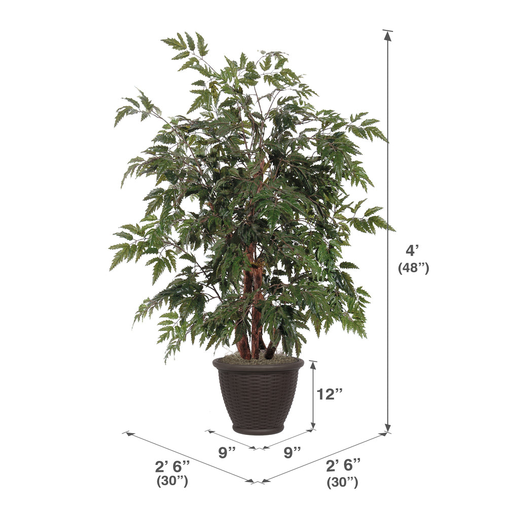 Vickerman 4' Artificial Ming Aralia Bush Brown Plastic Container. - Cheap-Us