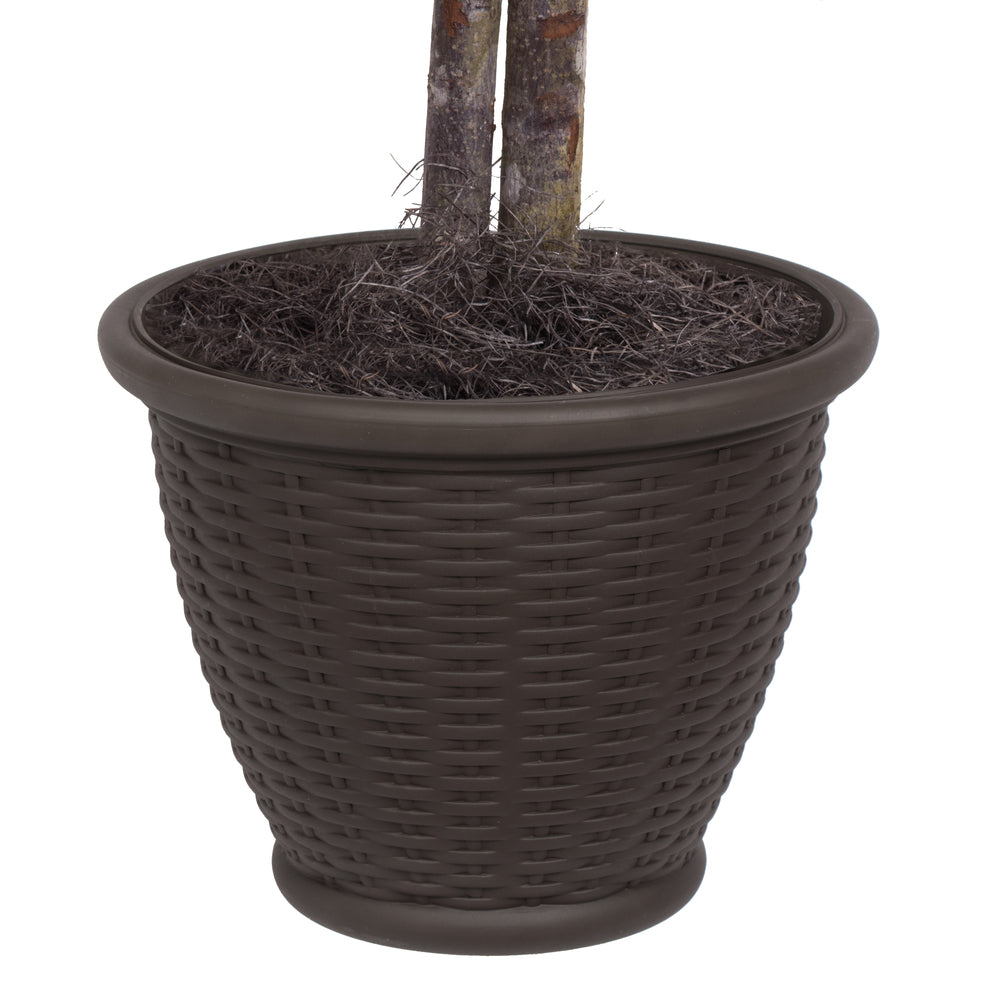 Vickerman 4' Artificial Variegated Ficus Extra Full Bush Brown Plastic Container. - Cheap-Us