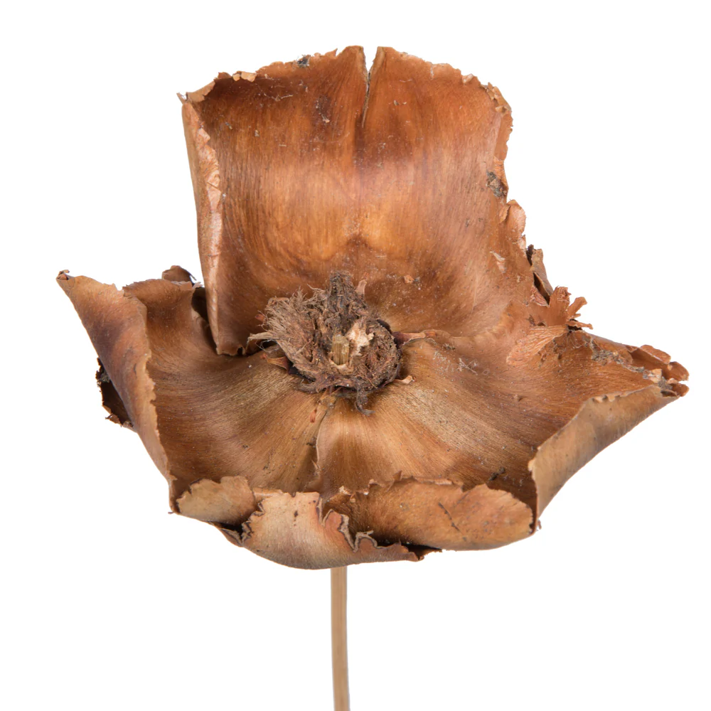 Vickerman Natural Botanicals 2.75