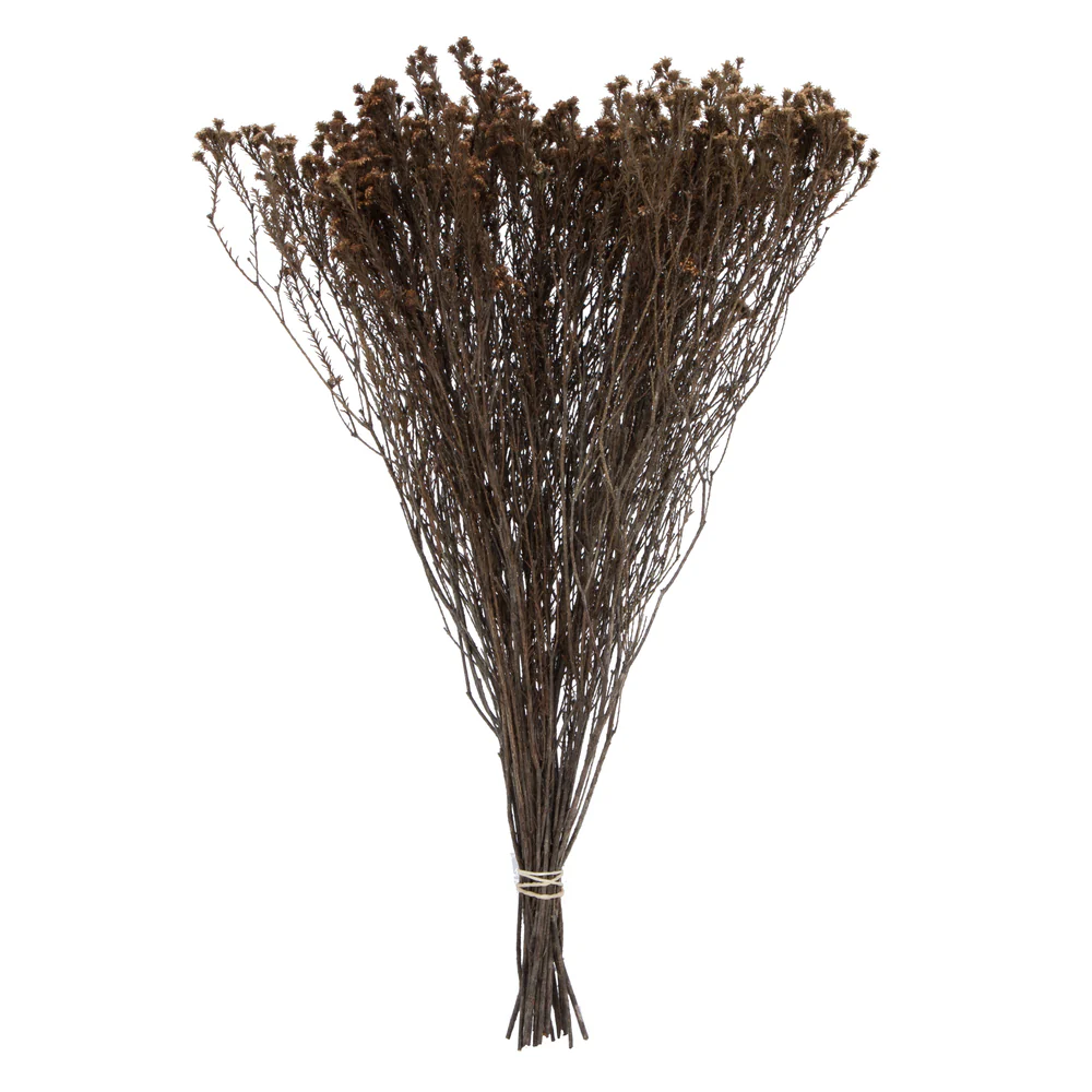 Vickerman Natural Botanicals 19