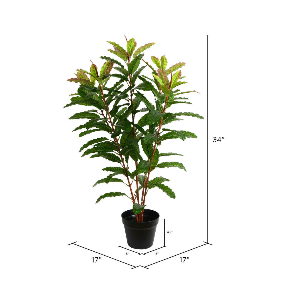 Vickerman 34